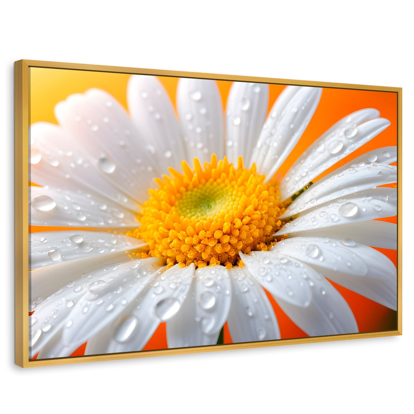 Cuadros Decorativos Canvas Revolution | Aura De Margarita | Rectangular | Portada | Marco Dorado