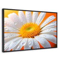 Cuadros Decorativos Canvas Revolution | Aura De Margarita | Rectangular | Portada | Marco Negro
