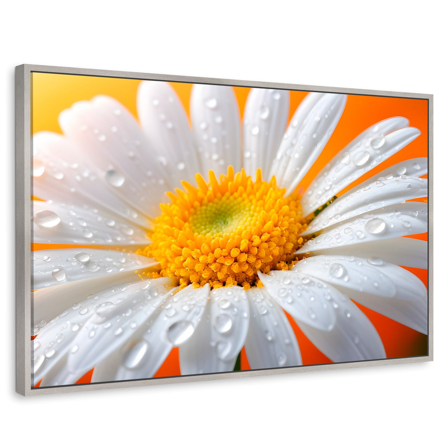 Cuadros Decorativos Canvas Revolution | Aura De Margarita | Rectangular | Portada | Marco Plateado