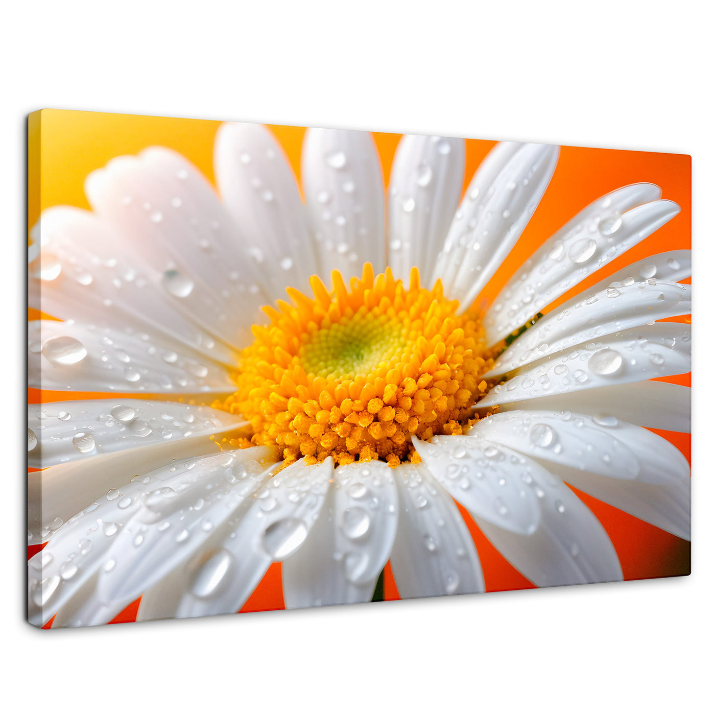Cuadros Decorativos Canvas Revolution | Aura De Margarita | Rectangular | Portada | Marco SinMarco