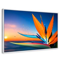 Cuadros Decorativos Canvas Revolution | Ave De Paraiso Vivo | Rectangular | Portada | Marco Blanco