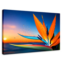 Cuadros Decorativos Canvas Revolution | Ave De Paraiso Vivo | Rectangular | Portada | Marco SinMarco