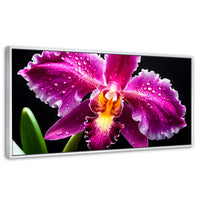 Cuadros Decorativos Canvas Revolution | Brillo De Cattleya | Panoramico | Portada | Marco Blanco