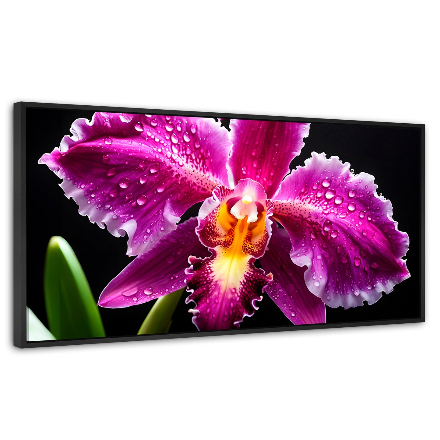 Cuadros Decorativos Canvas Revolution | Brillo De Cattleya | Panoramico | Portada | Marco Negro