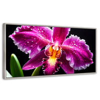 Cuadros Decorativos Canvas Revolution | Brillo De Cattleya | Panoramico | Portada | Marco Plateado