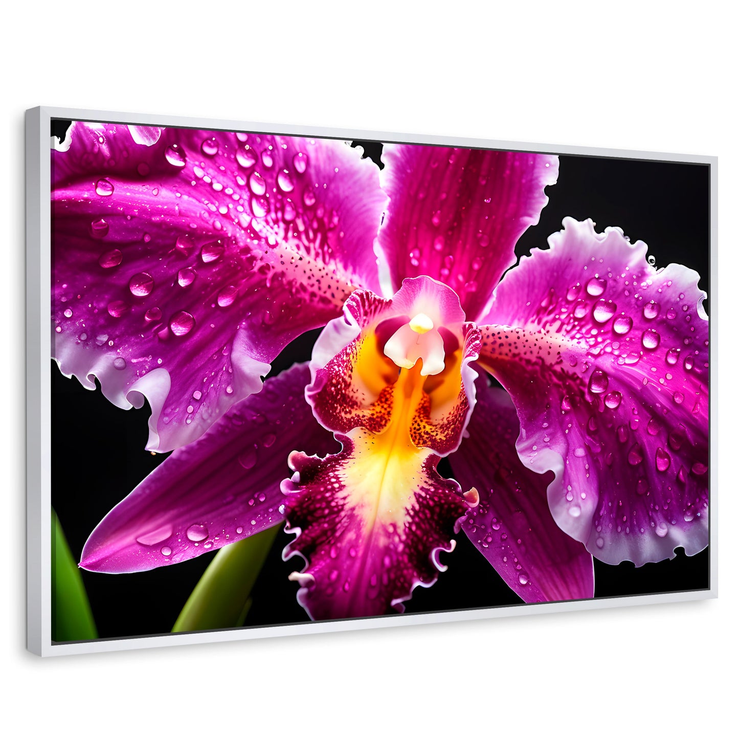 Cuadros Decorativos Canvas Revolution | Brillo De Cattleya | Rectangular | Portada | Marco Blanco
