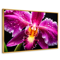 Cuadros Decorativos Canvas Revolution | Brillo De Cattleya | Rectangular | Portada | Marco Dorado