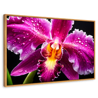 Cuadros Decorativos Canvas Revolution | Brillo De Cattleya | Rectangular | Portada | Marco Madera