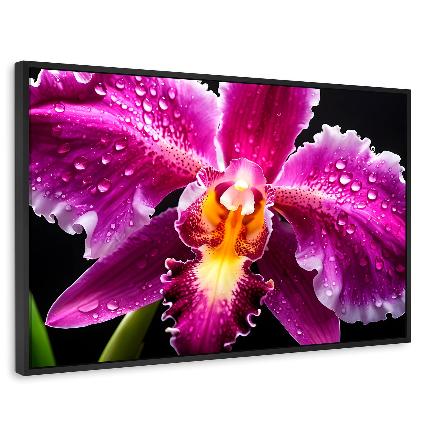 Cuadros Decorativos Canvas Revolution | Brillo De Cattleya | Rectangular | Portada | Marco Negro