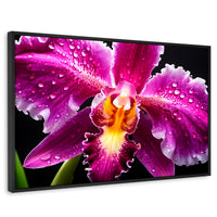 Cuadros Decorativos Canvas Revolution | Brillo De Cattleya | Rectangular | Portada | Marco Negro