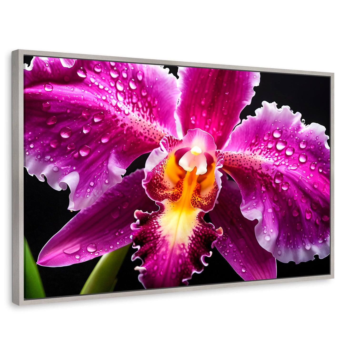 Cuadros Decorativos Canvas Revolution | Brillo De Cattleya | Rectangular | Portada | Marco Plateado