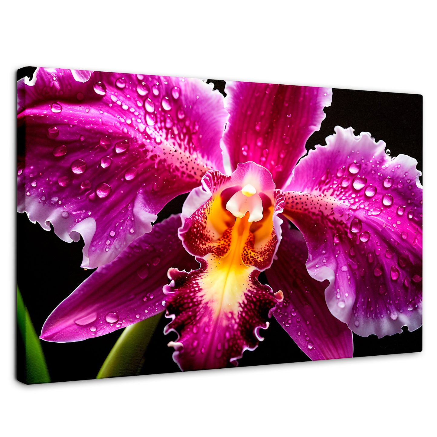 Cuadros Decorativos Canvas Revolution | Brillo De Cattleya | Rectangular | Portada | Marco SinMarco