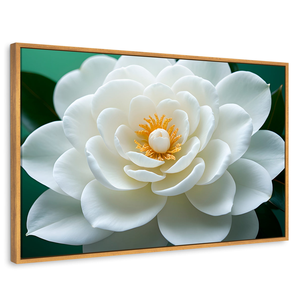 Cuadros Decorativos Canvas Revolution | Camelia Eterna Flor | Rectangular | Portada | Marco Madera