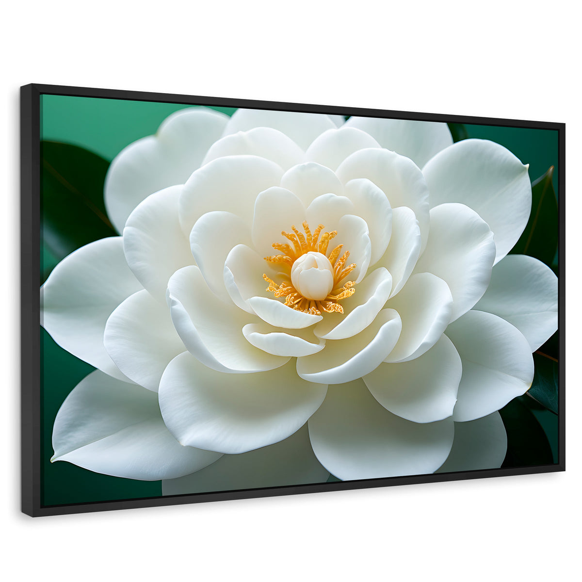 Cuadros Decorativos Canvas Revolution | Camelia Eterna Flor | Rectangular | Portada | Marco Negro