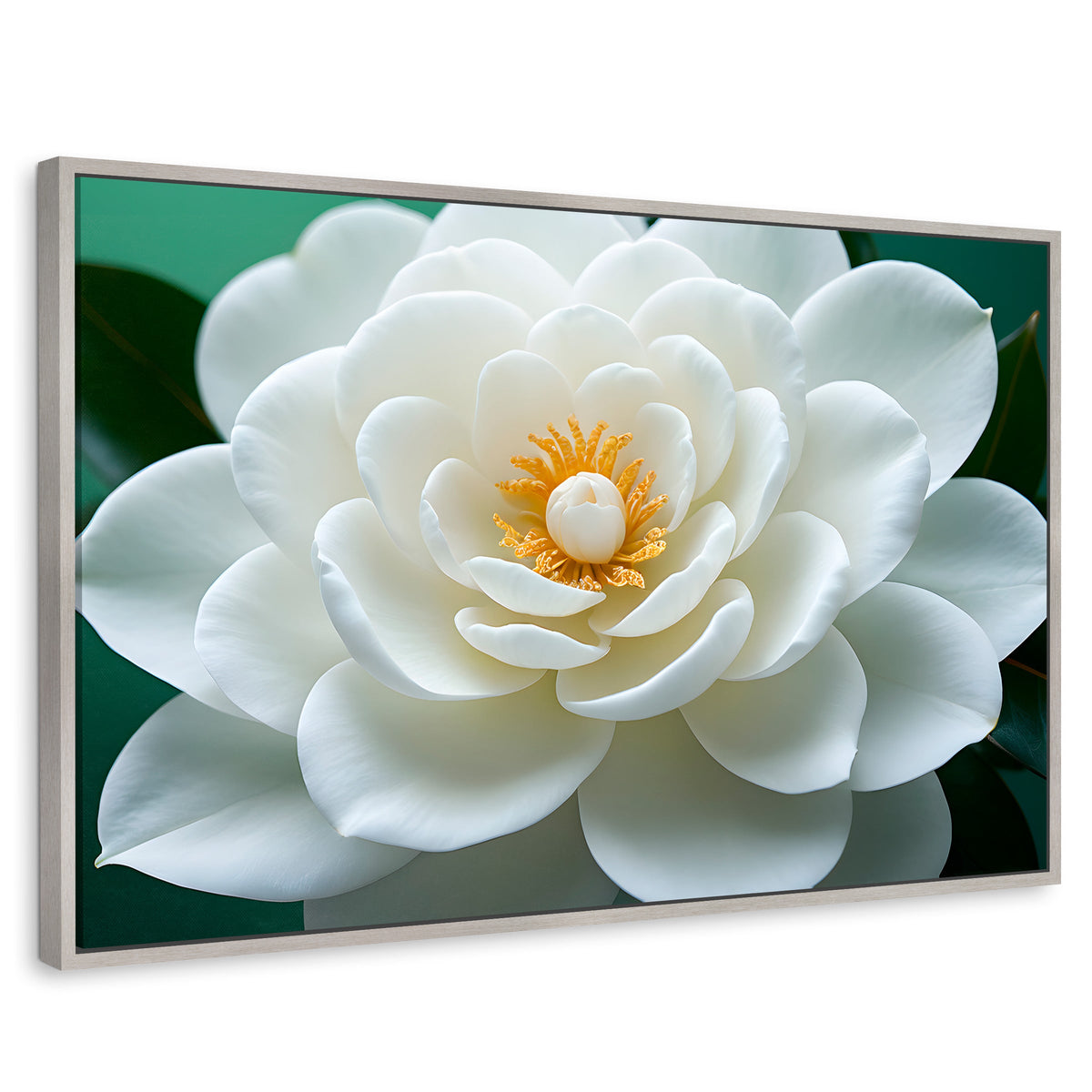Cuadros Decorativos Canvas Revolution | Camelia Eterna Flor | Rectangular | Portada | Marco Plateado