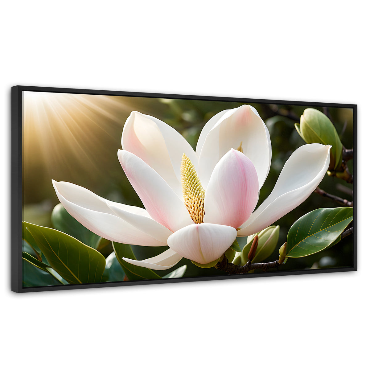 Cuadros Decorativos Canvas Revolution | Canto De Magnolia | Panoramico | Portada | Marco Negro