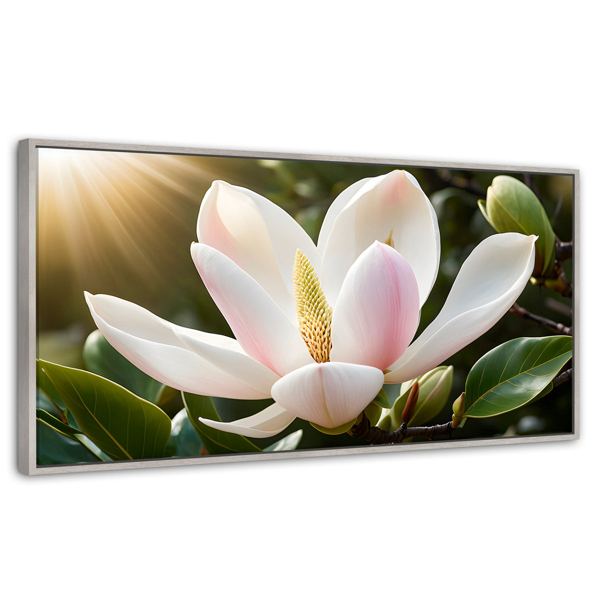 Cuadros Decorativos Canvas Revolution | Canto De Magnolia | Panoramico | Portada | Marco Plateado
