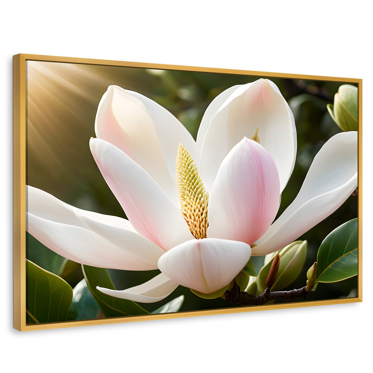 Cuadros Decorativos Canvas Revolution | Canto De Magnolia | Rectangular | Portada | Marco Dorado