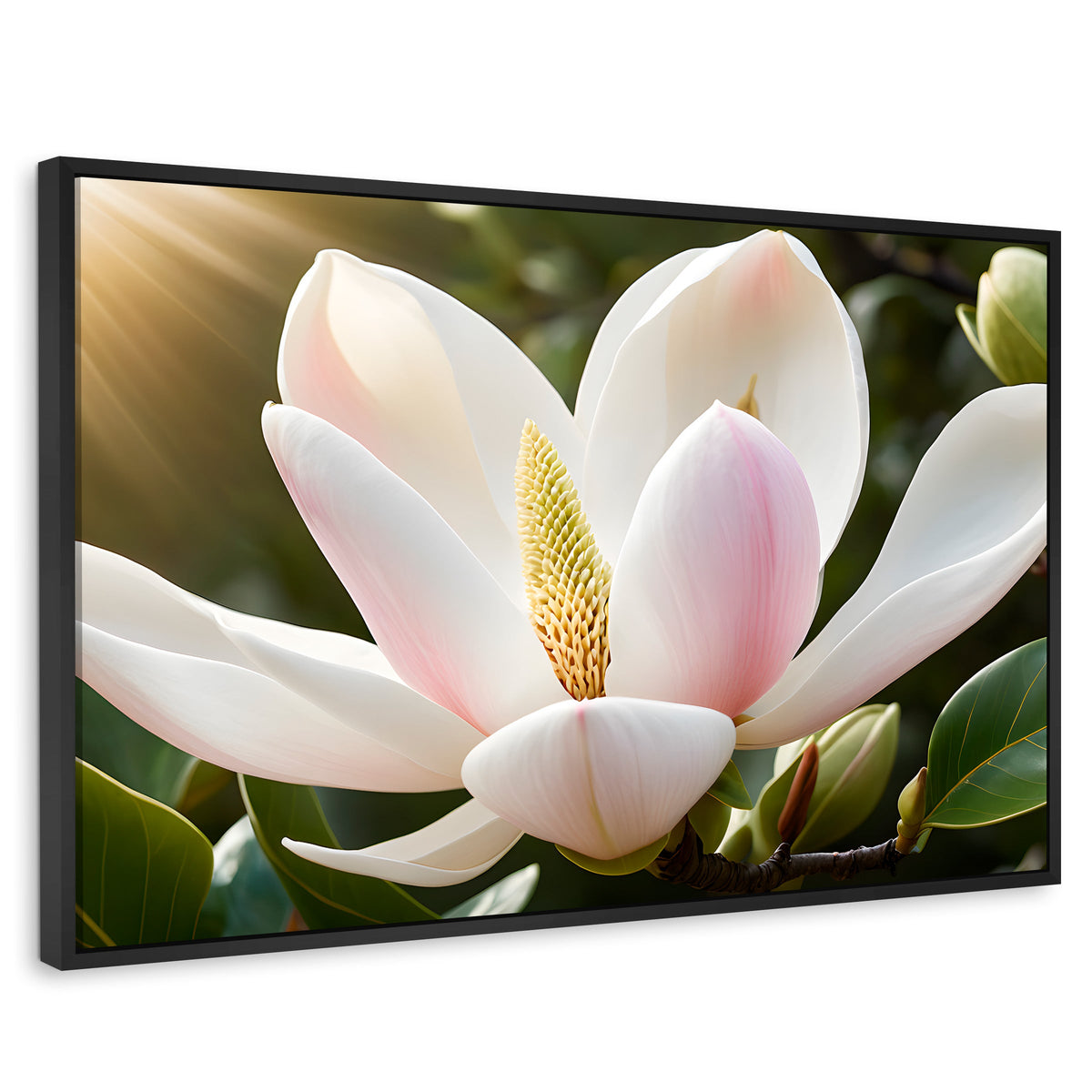 Cuadros Decorativos Canvas Revolution | Canto De Magnolia | Rectangular | Portada | Marco Negro