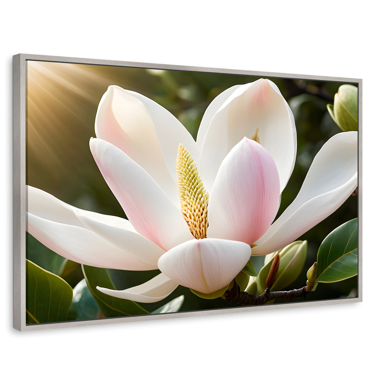 Cuadros Decorativos Canvas Revolution | Canto De Magnolia | Rectangular | Portada | Marco Plateado