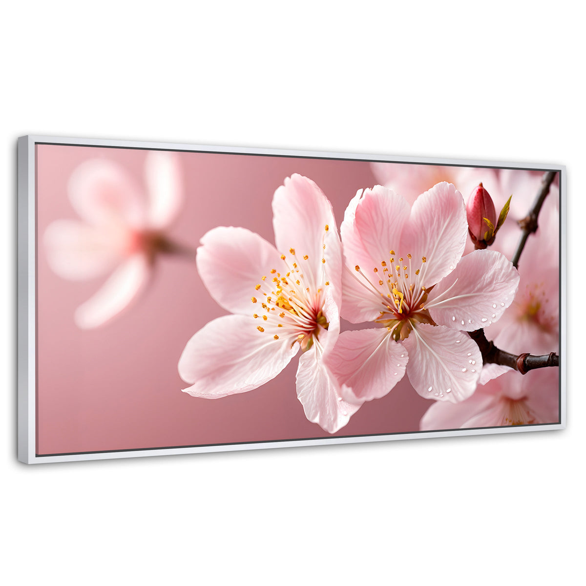 Cuadros Decorativos Canvas Revolution | Cerezo Rosado Flor | Panoramico | Portada | Marco Blanco
