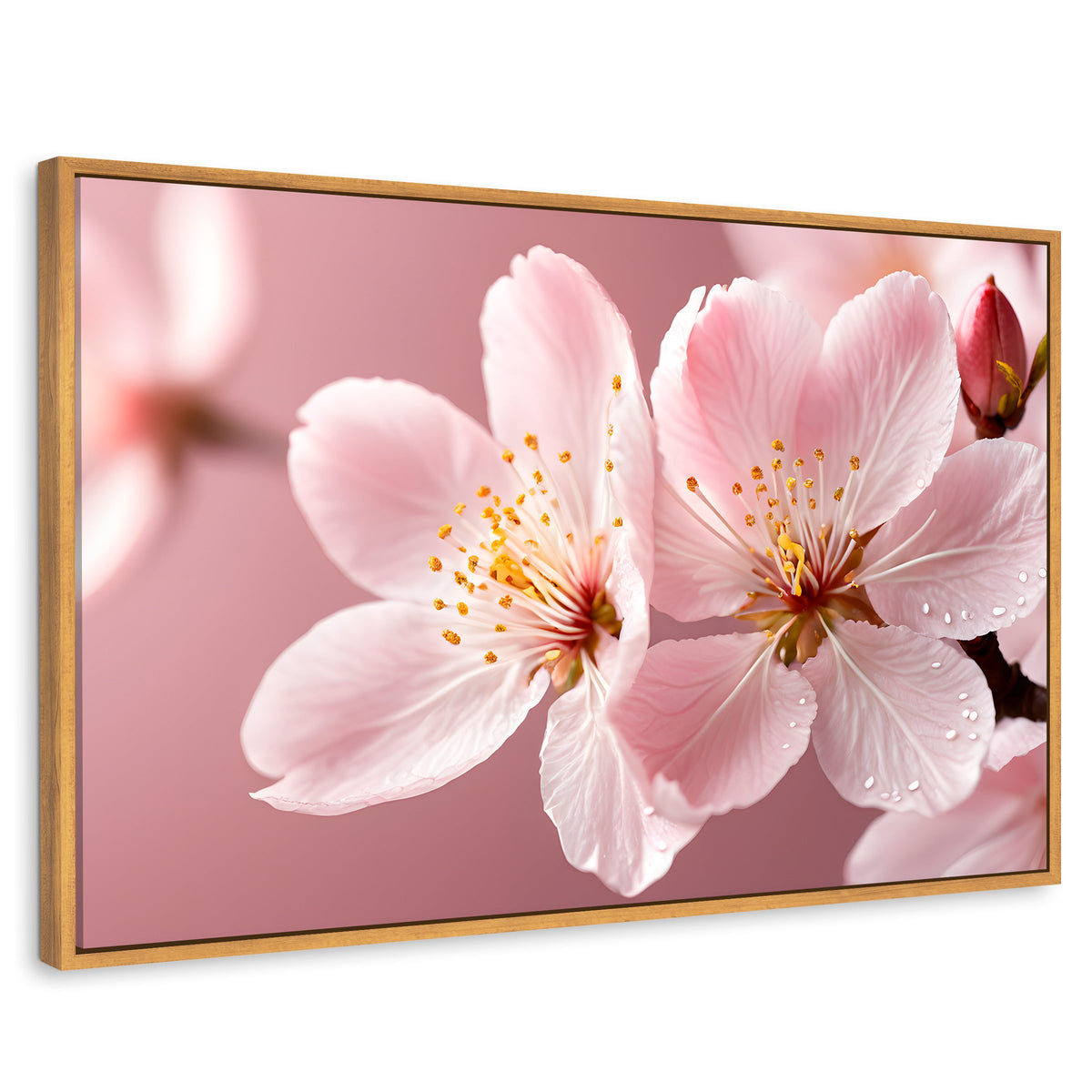 Cuadros Decorativos Canvas Revolution | Cerezo Rosado Flor | Rectangular | Portada | Marco Madera