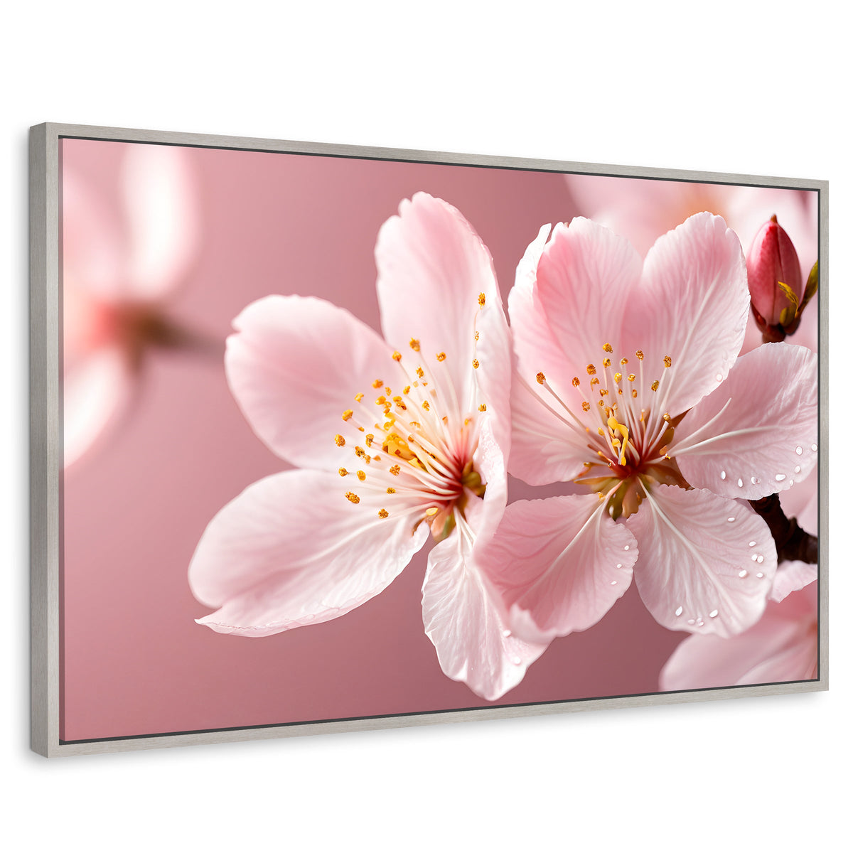 Cuadros Decorativos Canvas Revolution | Cerezo Rosado Flor | Rectangular | Portada | Marco Plateado