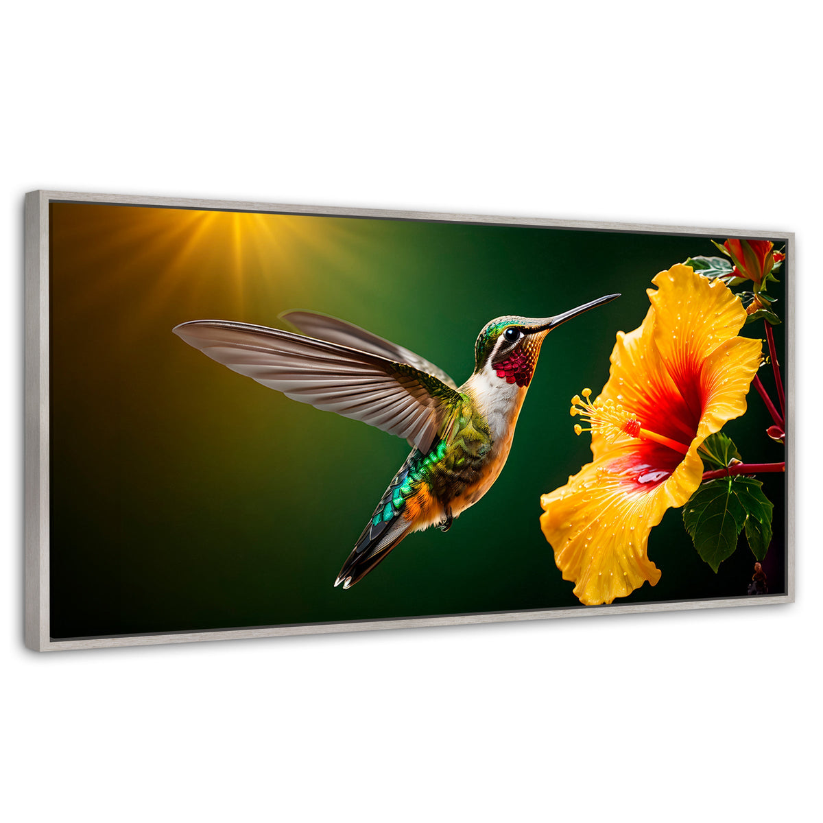 Cuadros Decorativos Canvas Revolution | Colibri Ala Nectar | Panoramico | Portada | Marco Blanco