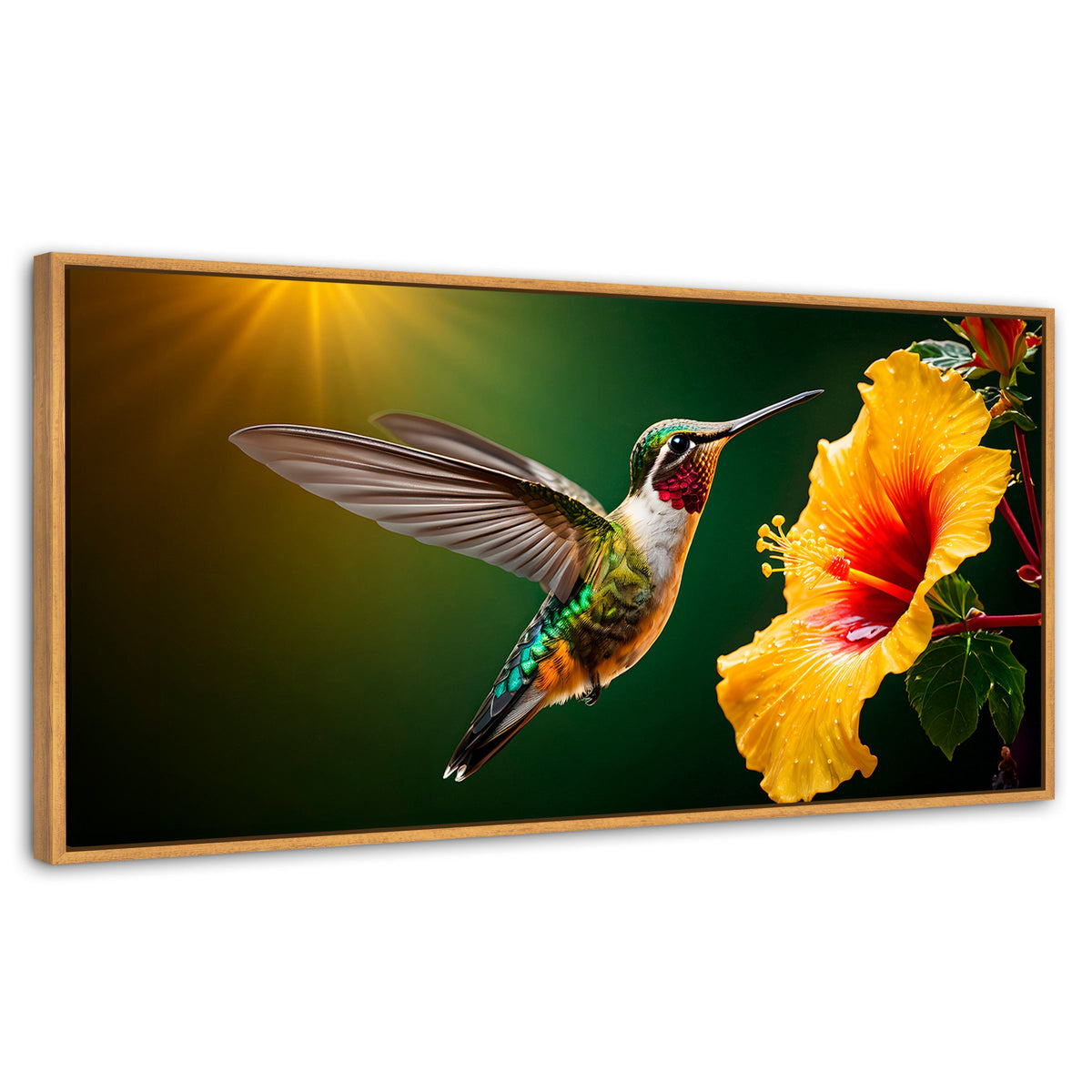 Cuadros Decorativos Canvas Revolution | Colibri Ala Nectar | Panoramico | Portada | Marco Negro