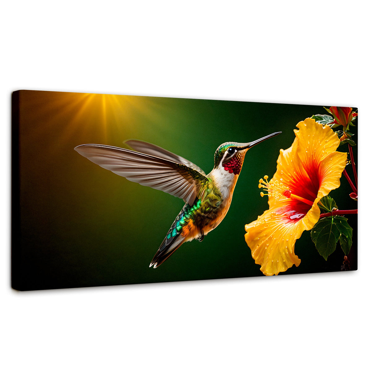 Cuadros Decorativos Canvas Revolution | Colibri Ala Nectar | Panoramico | Portada | Marco SinMarco
