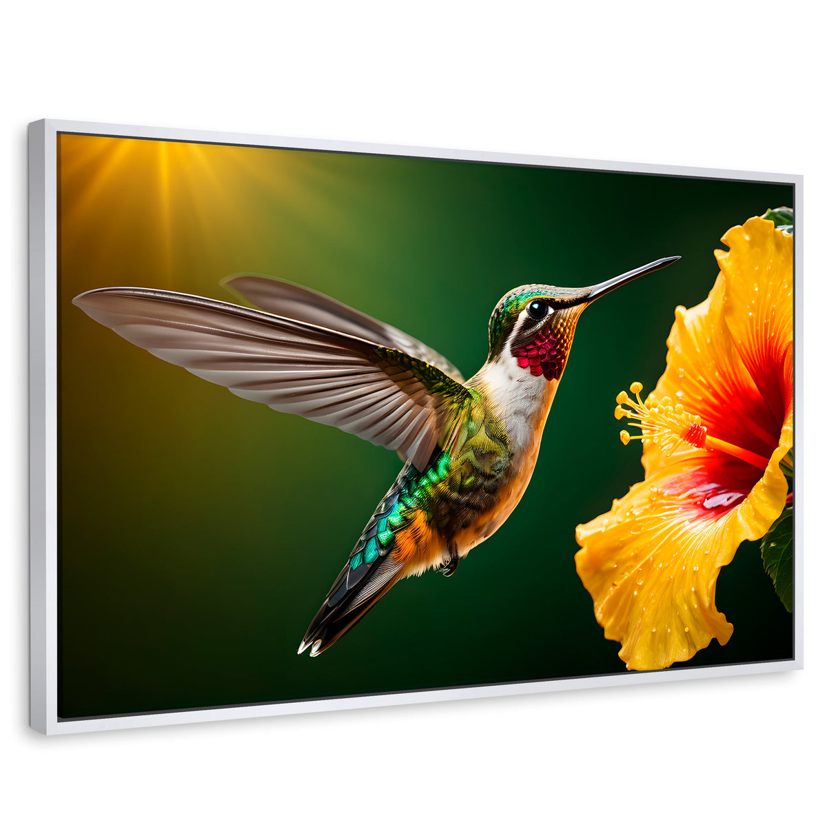 Cuadros Decorativos Canvas Revolution | Colibri Ala Nectar | Rectangular | Portada | Marco Blanco
