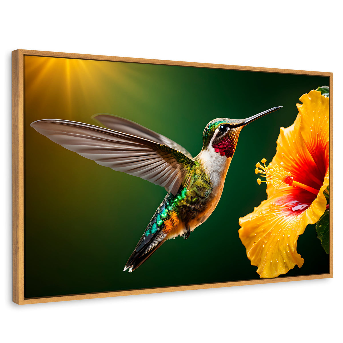 Cuadros Decorativos Canvas Revolution | Colibri Ala Nectar | Rectangular | Portada | Marco Madera