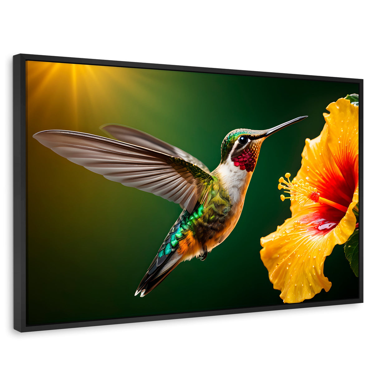 Cuadros Decorativos Canvas Revolution | Colibri Ala Nectar | Rectangular | Portada | Marco Negro