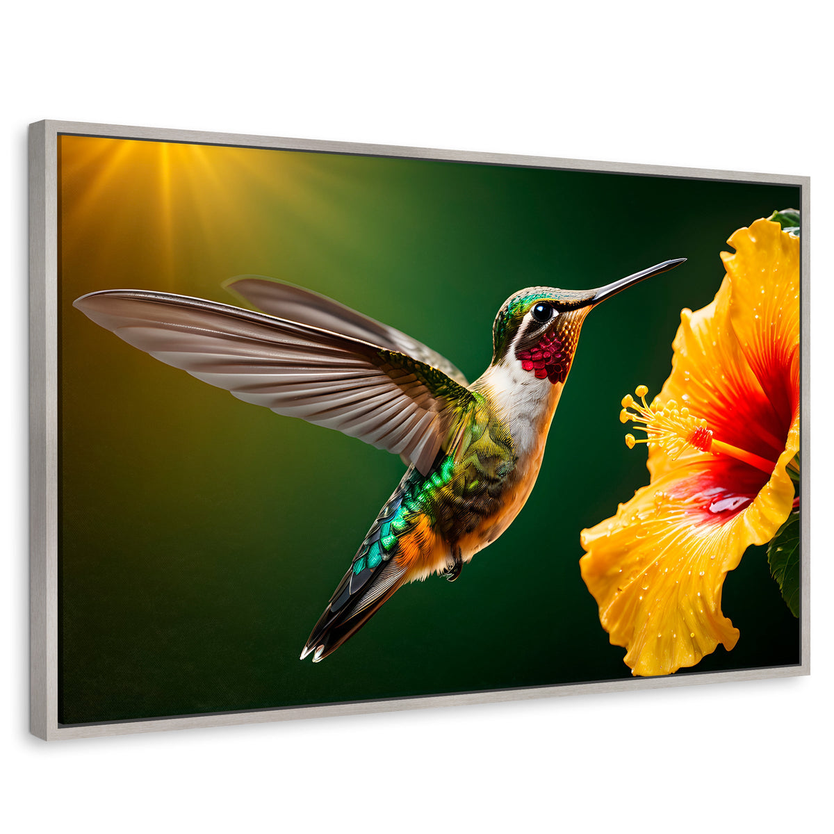 Cuadros Decorativos Canvas Revolution | Colibri Ala Nectar | Rectangular | Portada | Marco Plateado