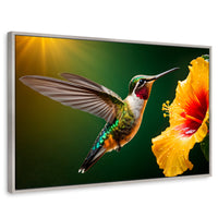 Cuadros Decorativos Canvas Revolution | Colibri Ala Nectar | Rectangular | Portada | Marco Plateado