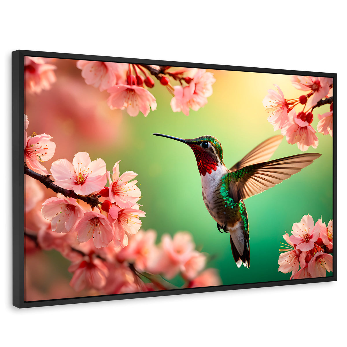 Cuadros Decorativos Canvas Revolution | Colibri Danza Flor | Rectangular | Portada | Marco Negro