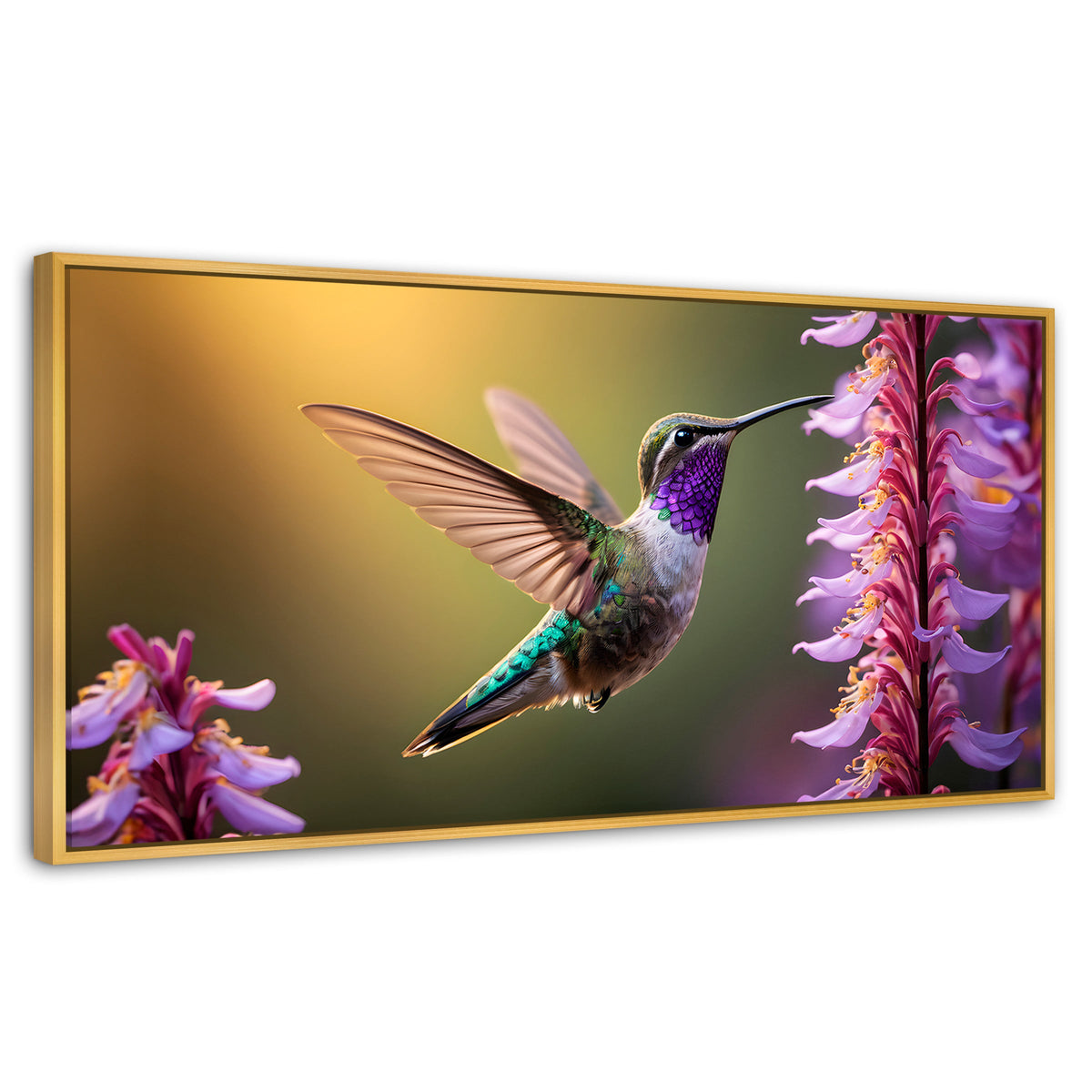 Cuadros Decorativos Canvas Revolution | Colibri Elegante | Panoramico | Portada | Marco Madera