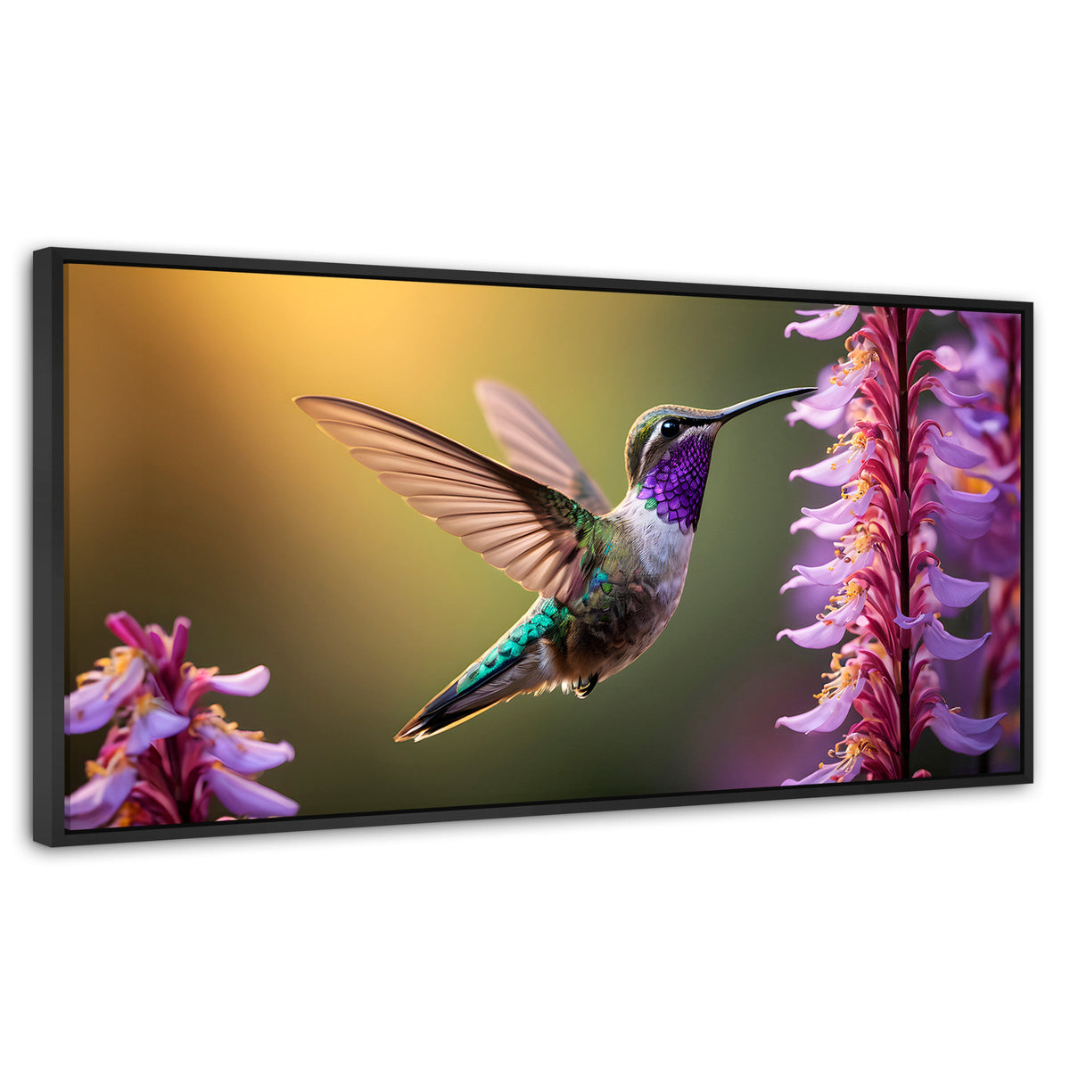 Cuadros Decorativos Canvas Revolution | Colibri Elegante | Panoramico | Portada | Marco Plateado