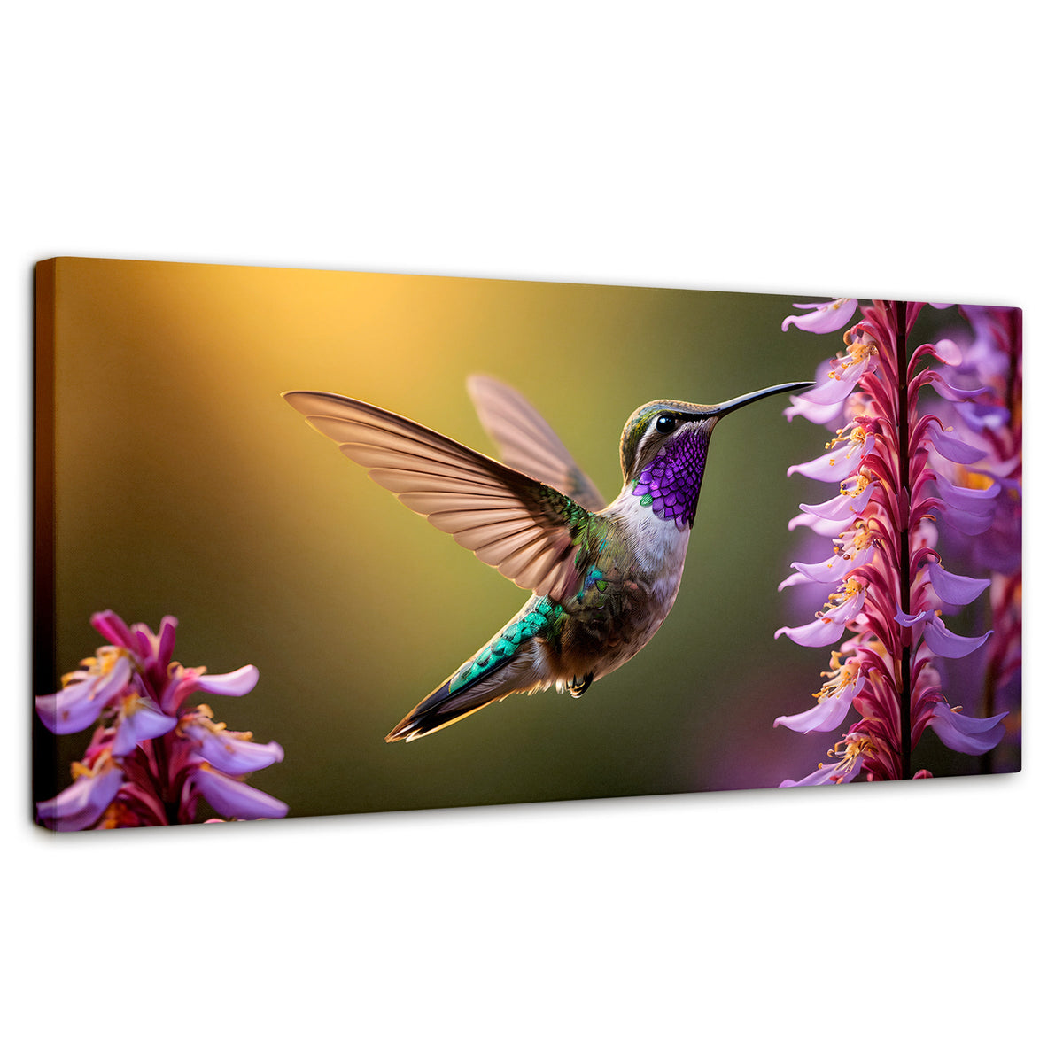 Cuadros Decorativos Canvas Revolution | Colibri Elegante | Panoramico | Portada | Marco SinMarco