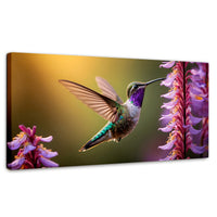 Cuadros Decorativos Canvas Revolution | Colibri Elegante | Panoramico | Portada | Marco SinMarco