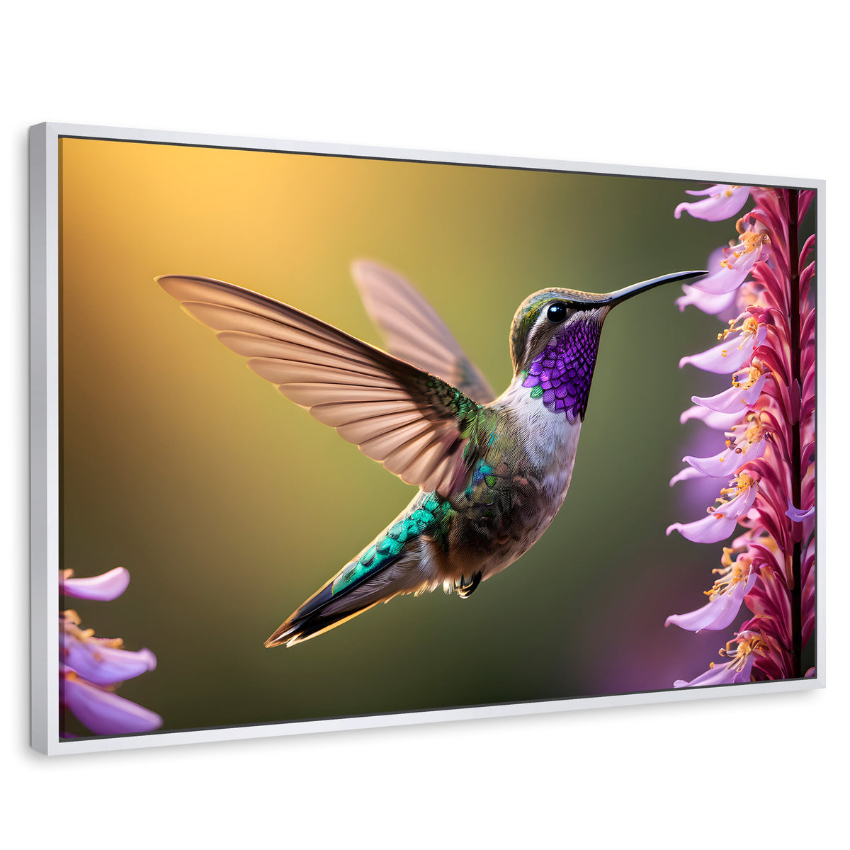 Cuadros Decorativos Canvas Revolution | Colibri Elegante | Rectangular | Portada | Marco Blanco