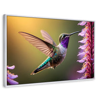Cuadros Decorativos Canvas Revolution | Colibri Elegante | Rectangular | Portada | Marco Blanco