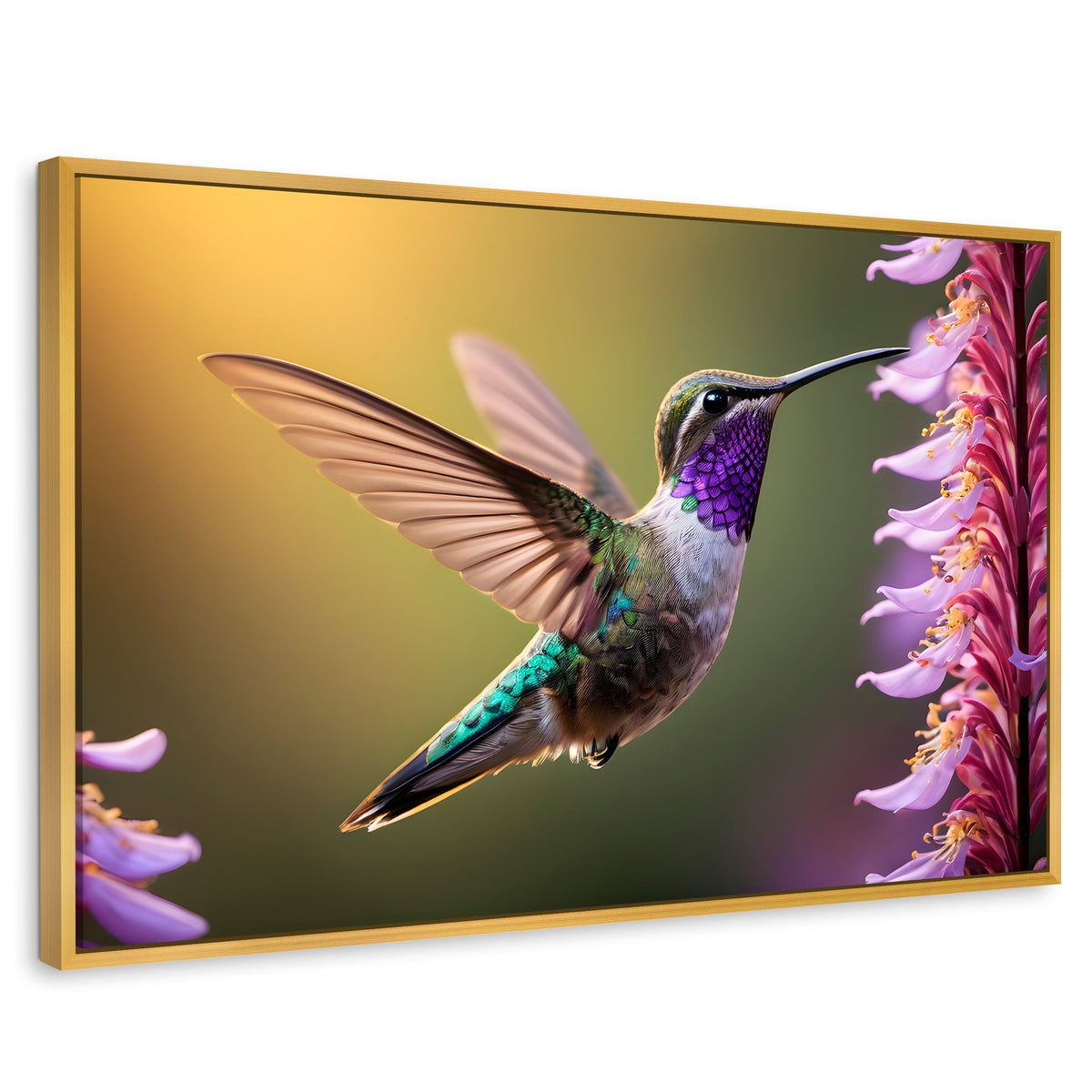 Cuadros Decorativos Canvas Revolution | Colibri Elegante | Rectangular | Portada | Marco Dorado