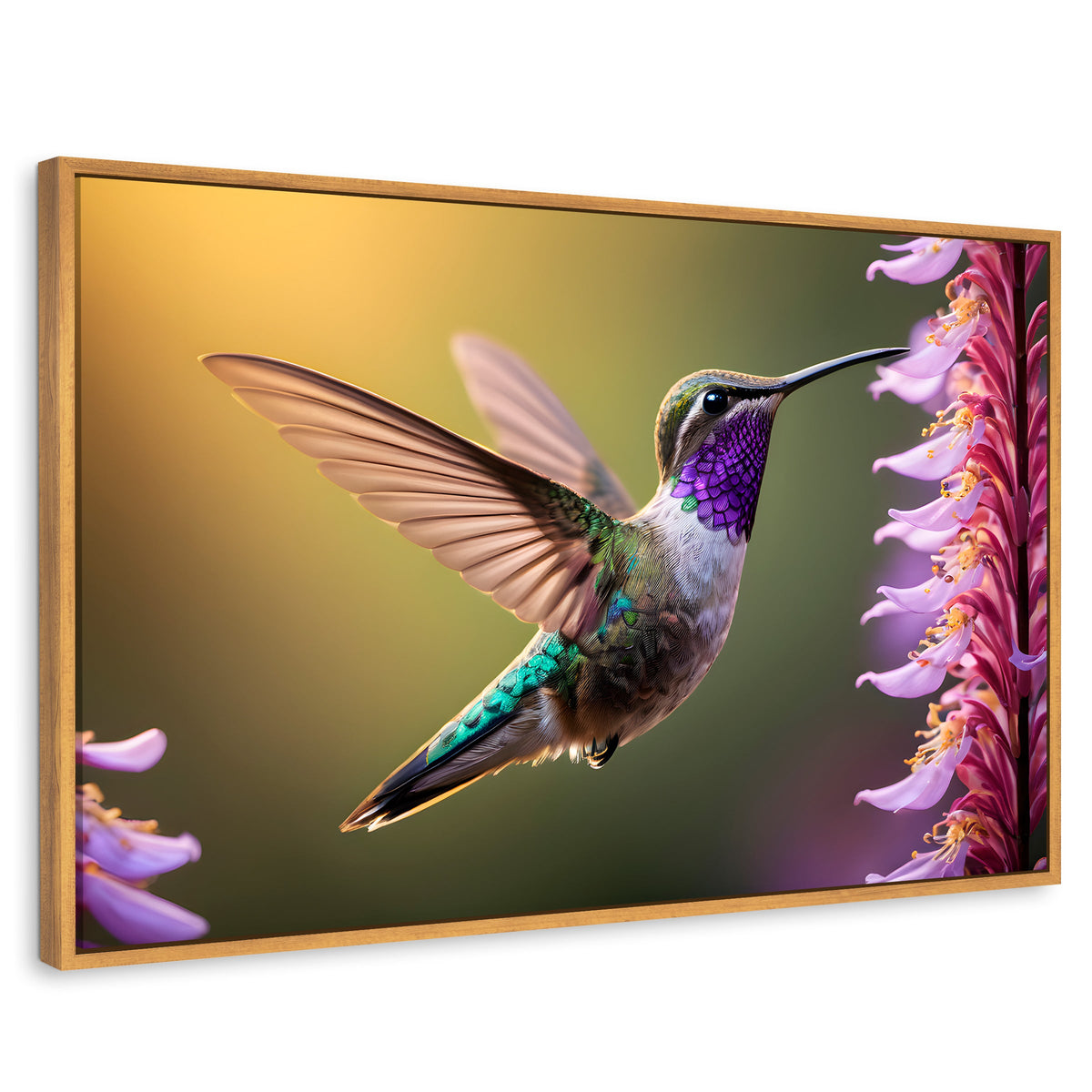 Cuadros Decorativos Canvas Revolution | Colibri Elegante | Rectangular | Portada | Marco Madera