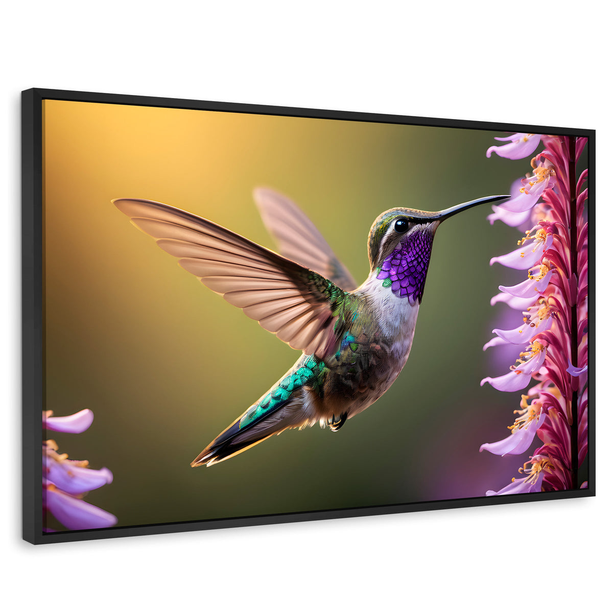 Cuadros Decorativos Canvas Revolution | Colibri Elegante | Rectangular | Portada | Marco Negro