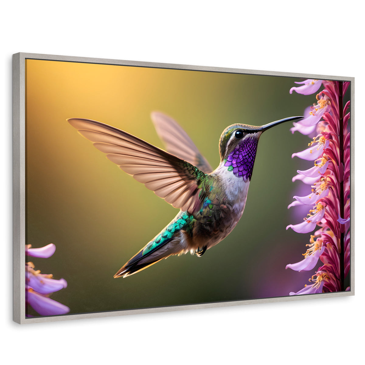 Cuadros Decorativos Canvas Revolution | Colibri Elegante | Rectangular | Portada | Marco Plateado