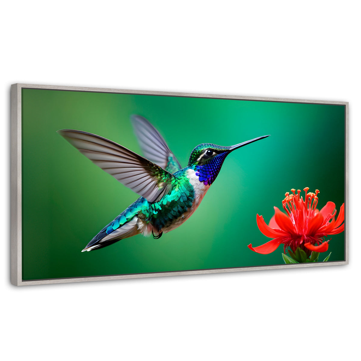 Cuadros Decorativos Canvas Revolution | Colibri En Rocio | Panoramico | Portada | Marco Blanco