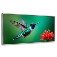 Cuadros Decorativos Canvas Revolution | Colibri En Rocio | Panoramico | Portada | Marco Blanco
