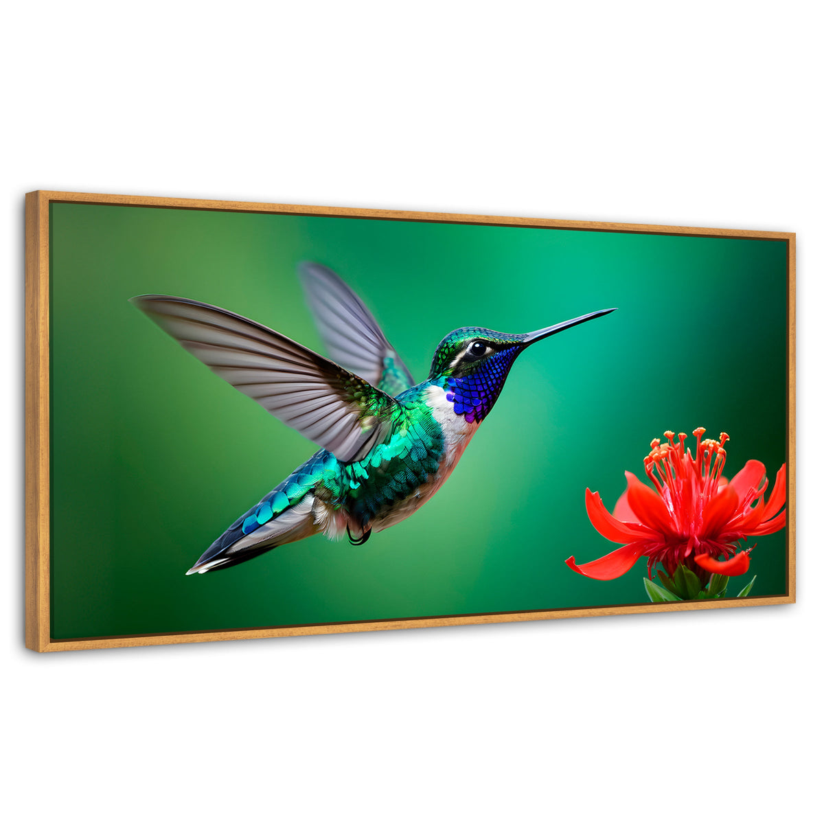 Cuadros Decorativos Canvas Revolution | Colibri En Rocio | Panoramico | Portada | Marco Negro