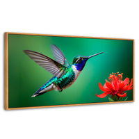 Cuadros Decorativos Canvas Revolution | Colibri En Rocio | Panoramico | Portada | Marco Negro